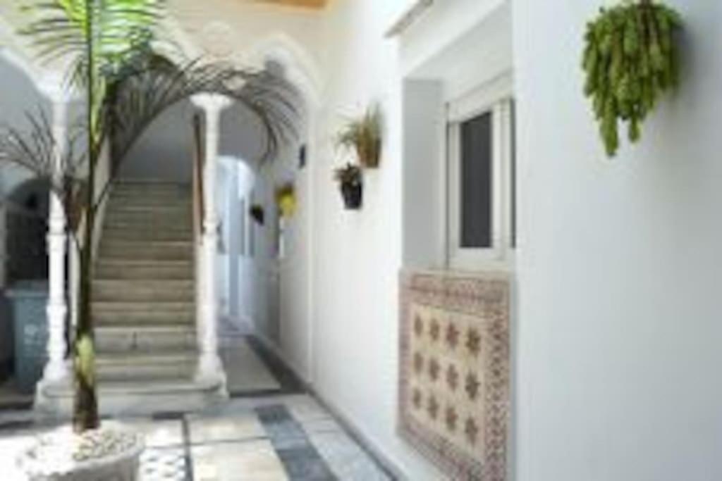Apartamento Veedor 19 Dias Y Muchas Noches Cádiz Exterior foto